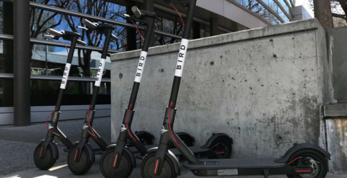 Bird scooter elétrica